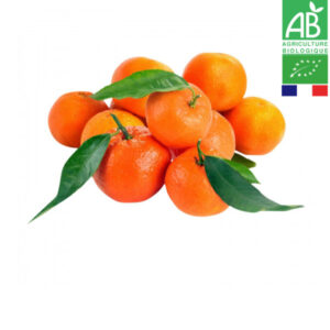 Clémentine de Corse Bio