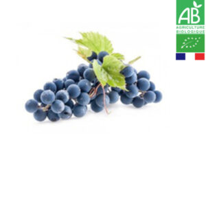 Raisin Noir Bio 1kg