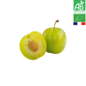 Prune Jaune Bio Reine-Claude