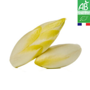 Endive Bio