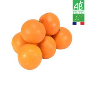 Orange de Corse Bio