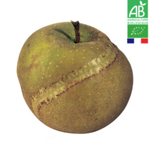 Pomme Patte de Loup Bio