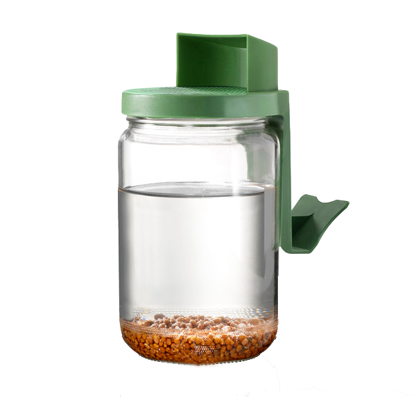 Bocal à Germination