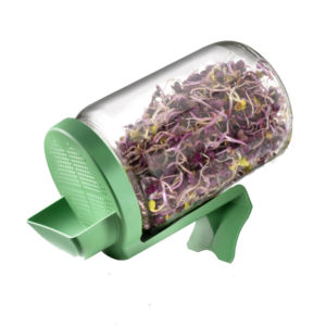 Germoir Bocal Germline