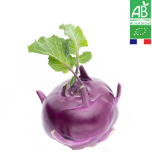 Choux Raves Violet Bio Pièce