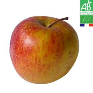 Pomme Boskoop Bio 1kg