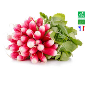 Radis Long Rose Bio Radis Long Rose Bio