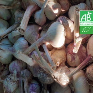 Ail Frais Bio 1 kg