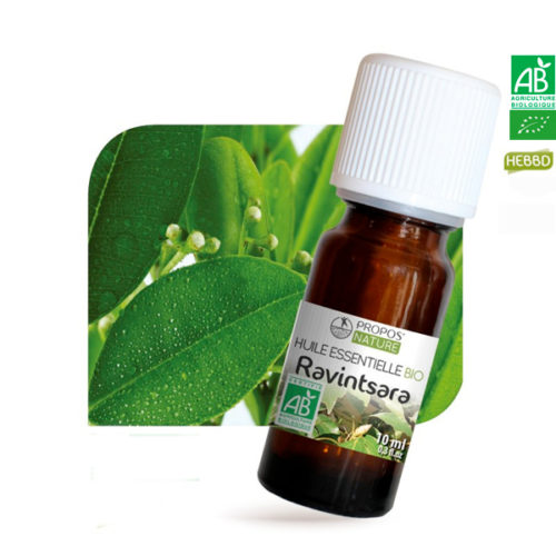 Huiles essentielles Bio Ravintsara Propos Nature