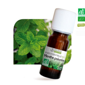Huile essentielle Bio Menthe Poivré 10ml Propos Nature