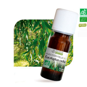 Huile essentielle Bio Eucalyptus Radié 10ml Propos Nature