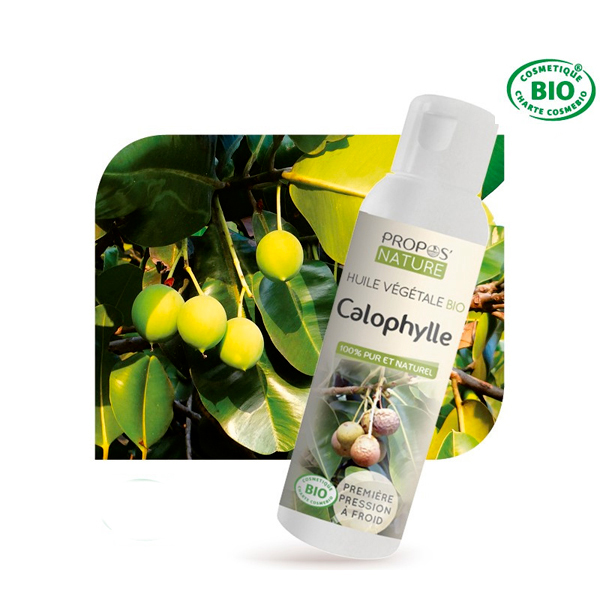 Huile Végétale Vierge Calophylle Propos Nature