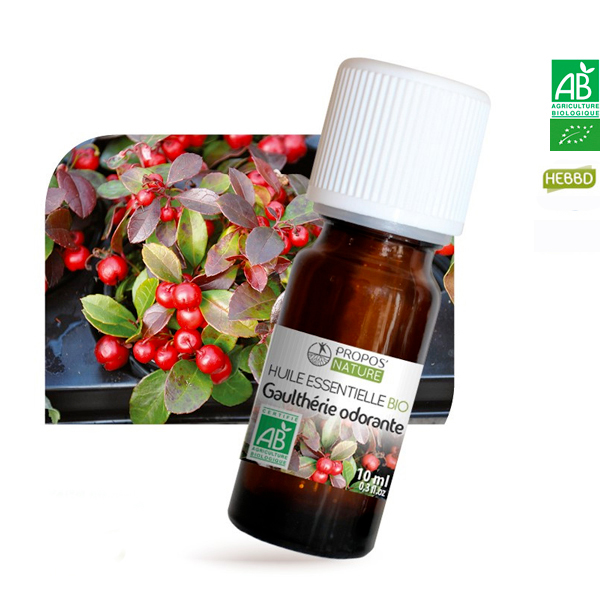 Huile essentielle Bio Gaulthérie Odorante 10ml Propos Nature