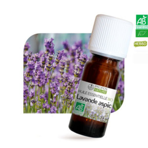 Huiles essentielles Bio Lavande Aspic Propos Nature Huiles essentielles Bio Lavande Aspic Propos Nature
