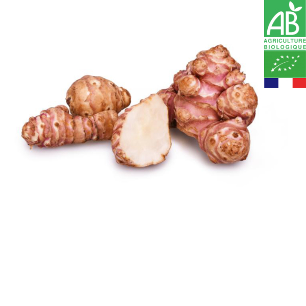 Topinambour Bio Topinambour Bio