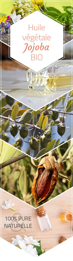 Illustration Huile Végétale Vierge Jojoba Bio