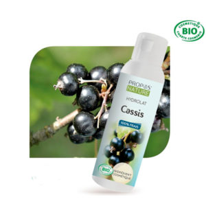 Hydrolat de Cassis Bio Propos Nature
