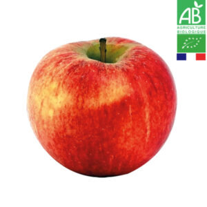 Pomme Elstar Bio 1kg