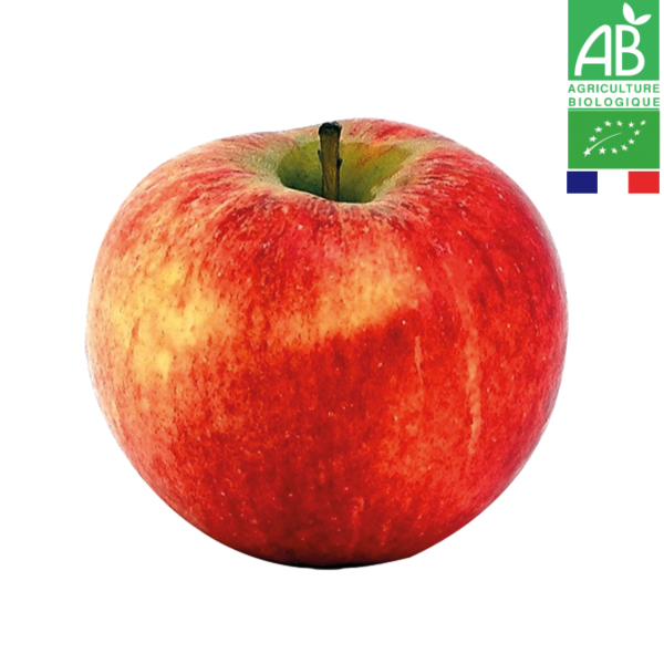 Pomme Elstar Bio 1kg