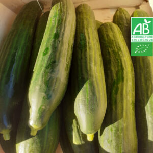 Concombre Bio (à la pièce)