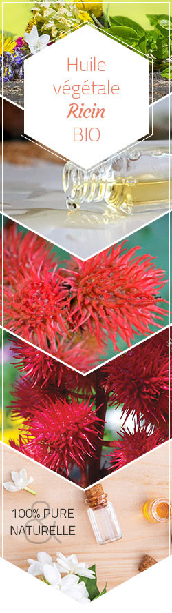 Illustration Huile Végétale Vierge de Ricin Bio