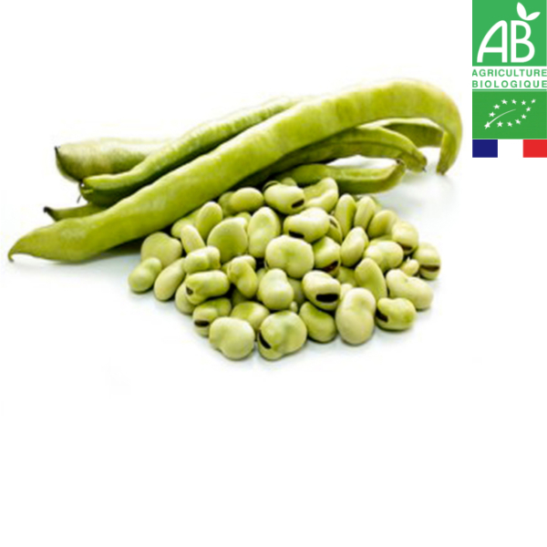 Fèves Bio