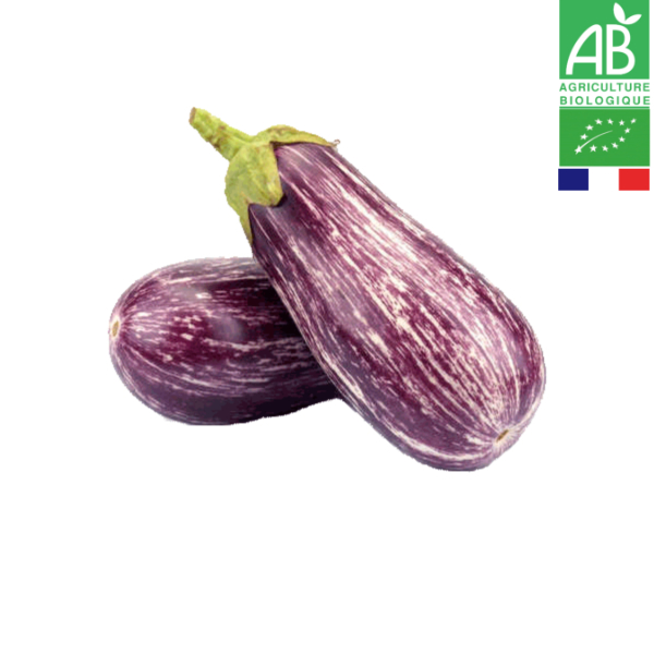 Aubergine Ovale Graffiti Bio