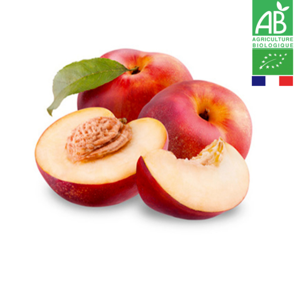 Nectarine Blanche Bio