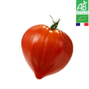 Tomate Cœur de Bœuf Bio De Population Tomate Cœur de Bœuf Bio De Population
