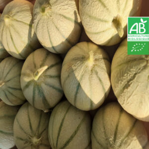 Melon Charentais Bio Pièce environ 1.3kg