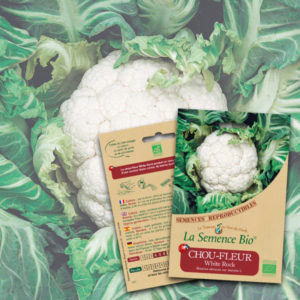 Chou-Fleur White Rock Bio La Semence Bio