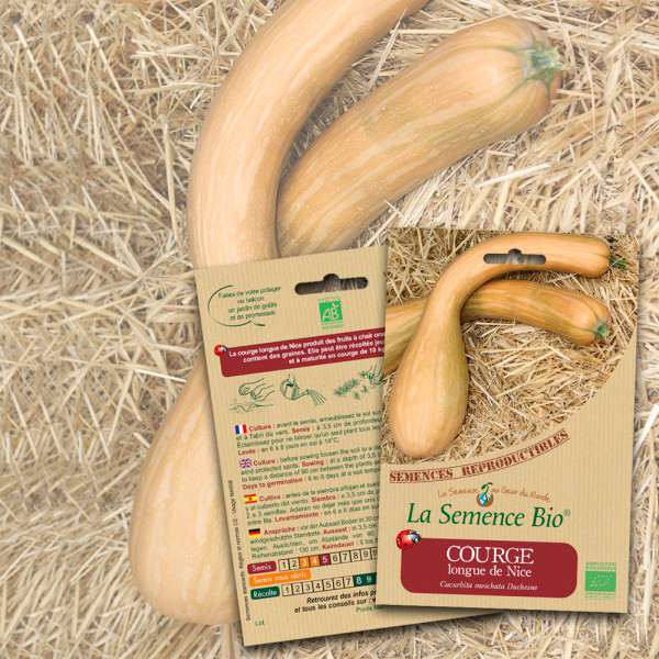 Courge Longue de Nice Bio La Semence Bio