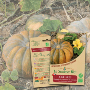 Courge Musquée de Provence La Semence Bio