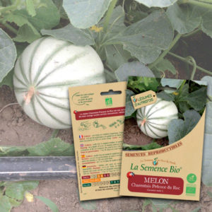 Melon-Charentais-Précoce-du-Roc-Bio-La-Semence-Bio Melon Charentais Précoce du Roc Bio La Semence Bio