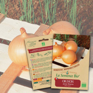 Oignon Jaune Sturon Bio La Semence Bio
