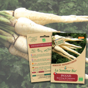 Panais demi-long de Guernesey Bio La Semence Bio