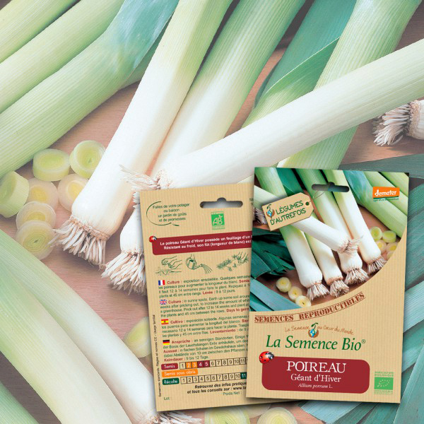 Poireau Géant d'Hiver Bio La Semence Bio
