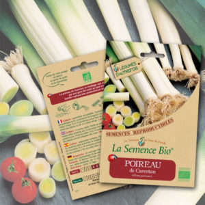 Poireau de Carentan Bio La Semence Bio
