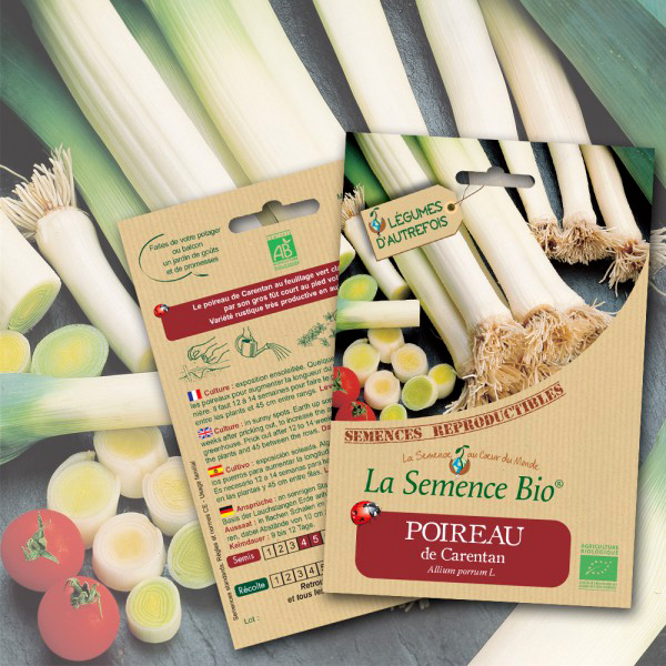 Poireau de Carentan Bio La Semence Bio