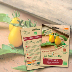 Tomate Yellow Pearshaped Bio La Semence Bio