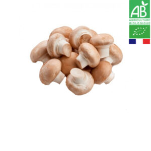 Champignon Brun Bio