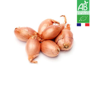 Échalote Bio