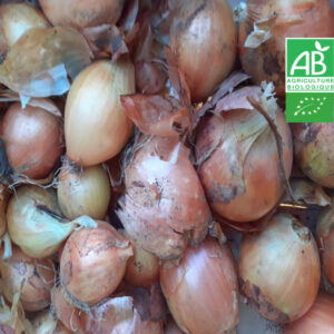 Oignon Jaune Bio 1Kg (Nouvelle récolte)