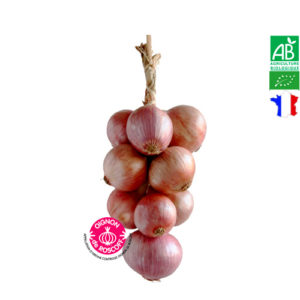 Tresse d'Oignon Rouge/Rose de Roscoff AOP Bio