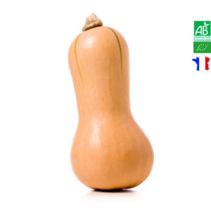 Courge Butternut Bio