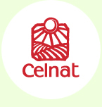 Logo Celnat