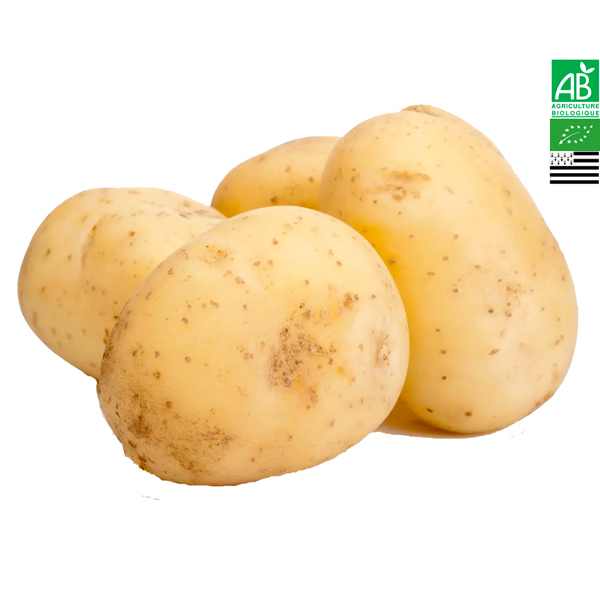 Pomme de Terre Primeur Starlette Bio Bretagne