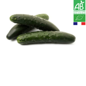 Concombre Noa Bio (A la pièce)