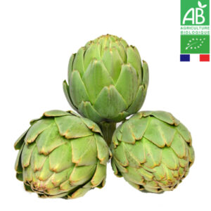 Artichaut Grenn Queen Bio Pièce