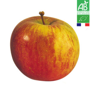 Pomme Fuji Bio